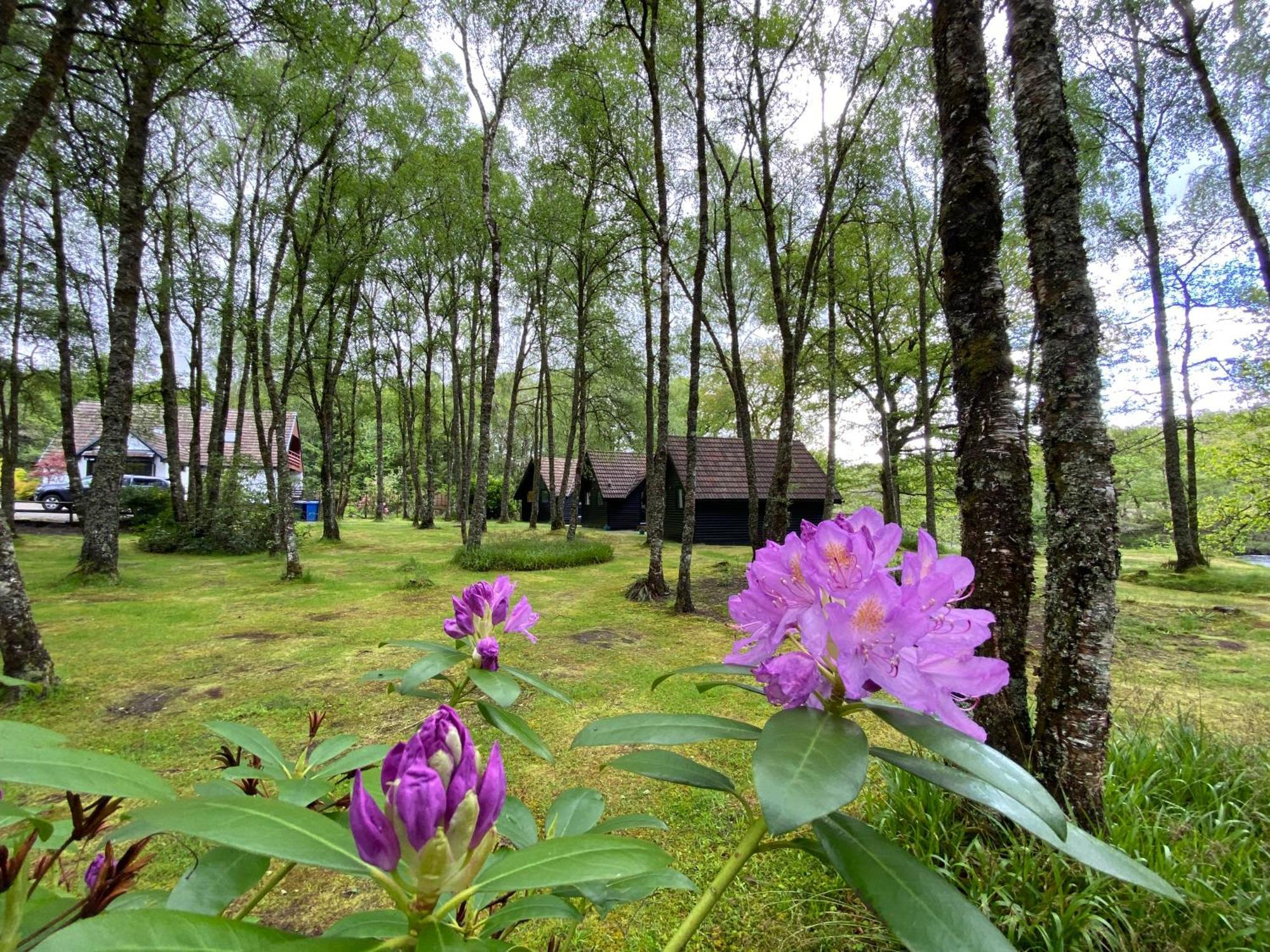 Burnbank Lodges Спийн Бридж Екстериор снимка