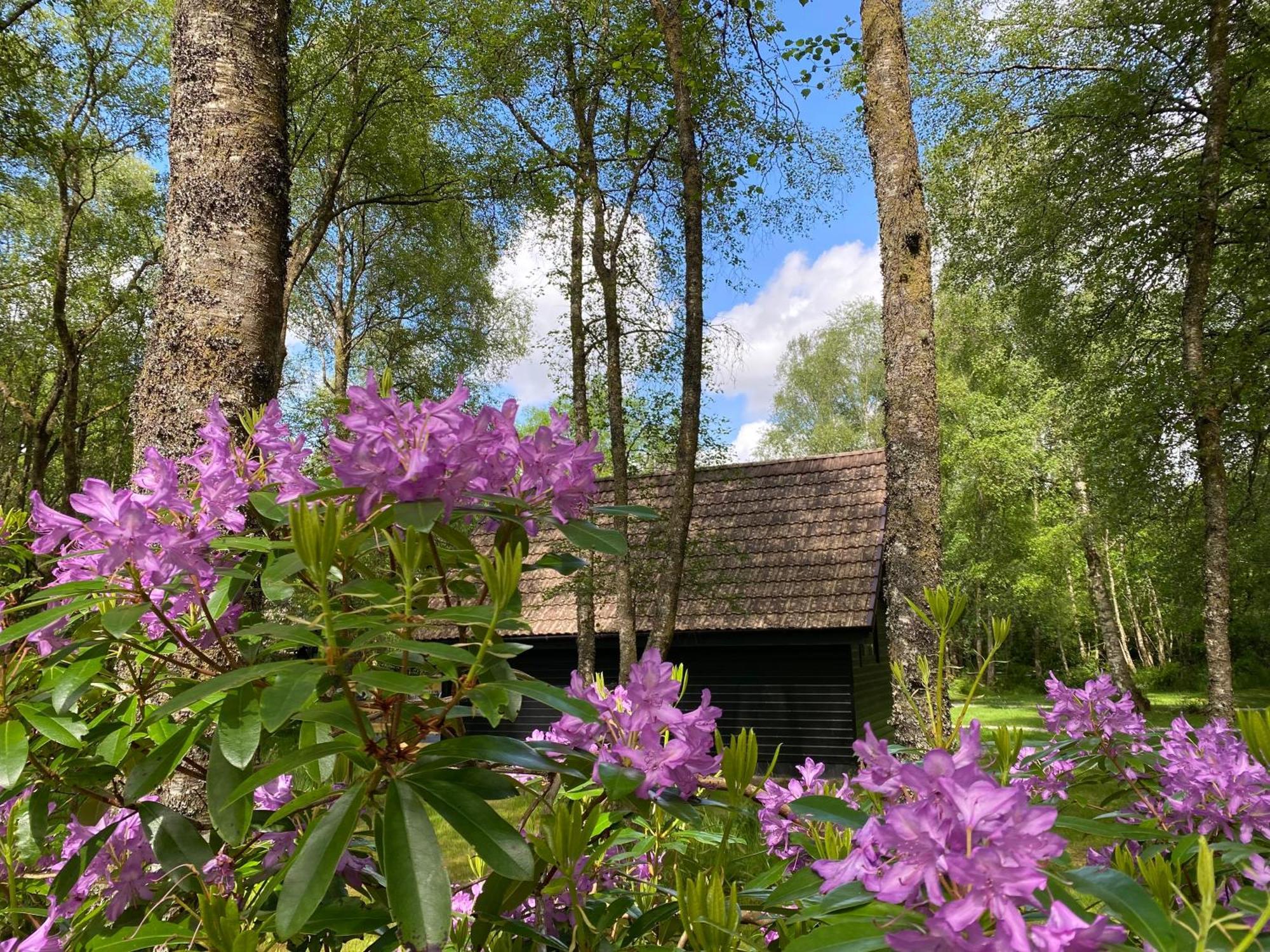 Burnbank Lodges Спийн Бридж Екстериор снимка